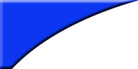 Strategic Partners and Business Associates